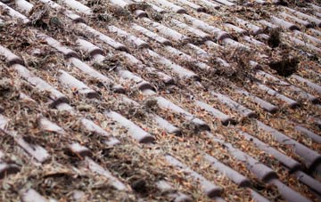 Poling Corner roof cleaning companies