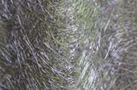 Poling Corner fibreglass roof work